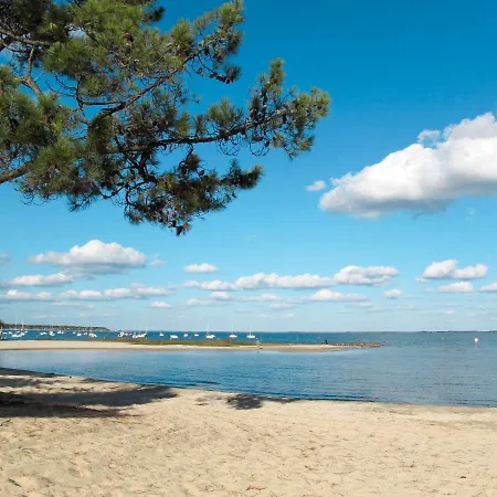 Appartement Les Grands Pins-2 By Interhome *