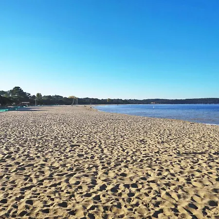 Les Grands Pins-2 By Interhome Appartement *