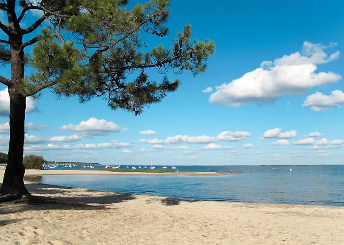 公寓 Les Grands Pins-2 By Interhome *