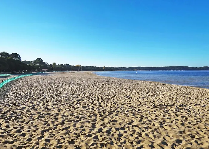 Les Grands Pins-2 By Interhome 公寓 *